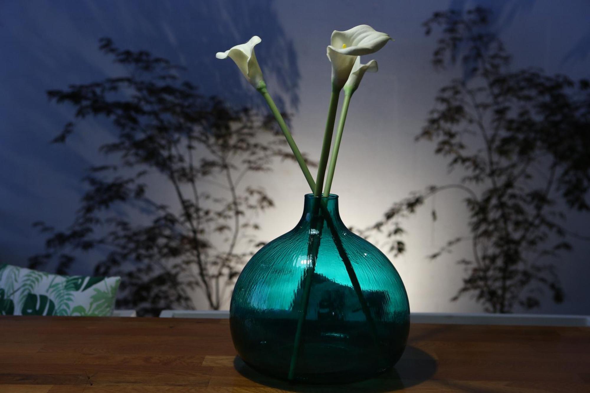 Boutique Hotel Chevalier By Bura Hotels - Adults Only Medulin Buitenkant foto